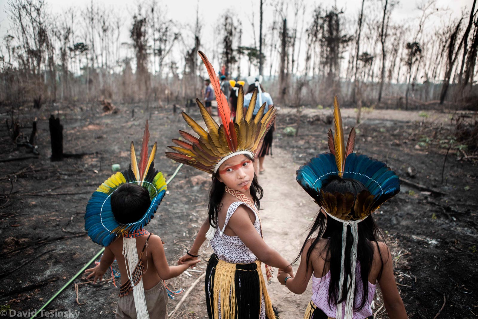 Man-Made Fires destroying homes in Amazonia (Brazil) - David Tesinsky