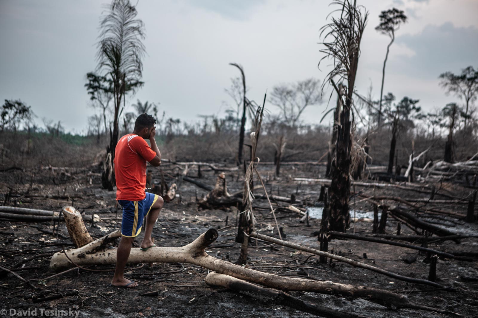 Man-Made Fires destroying homes in Amazonia (Brazil) - David Tesinsky